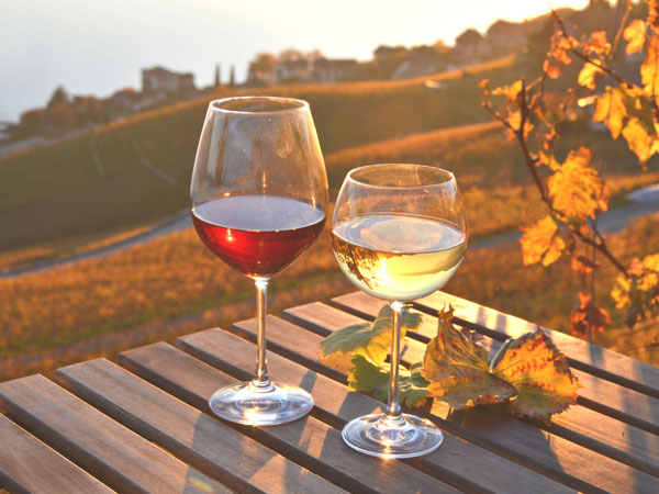 Autumn Wines